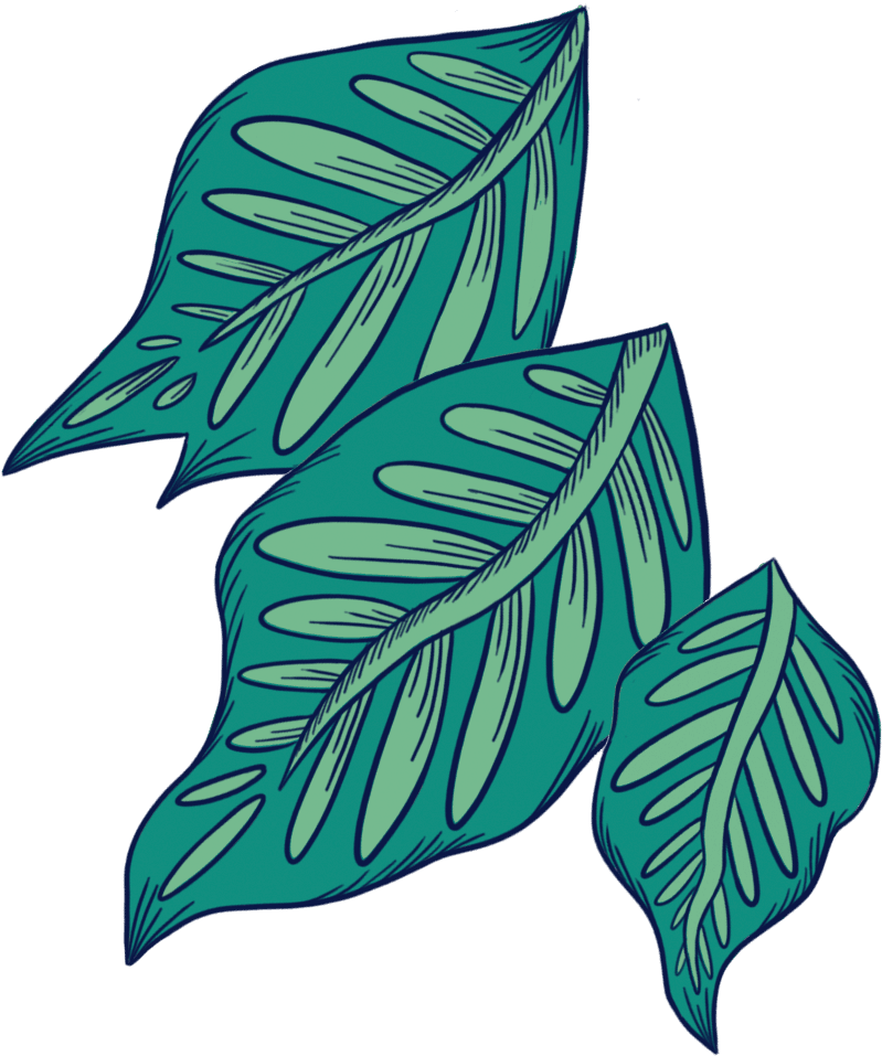 Leaves Decor
